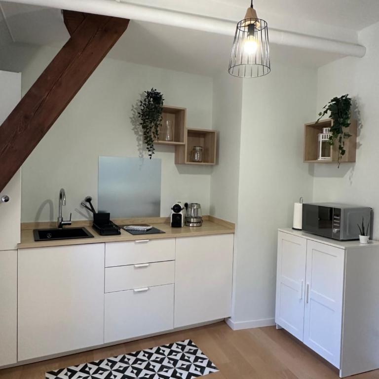 Les Hallebardes - One-Bedroom Apartment - 8