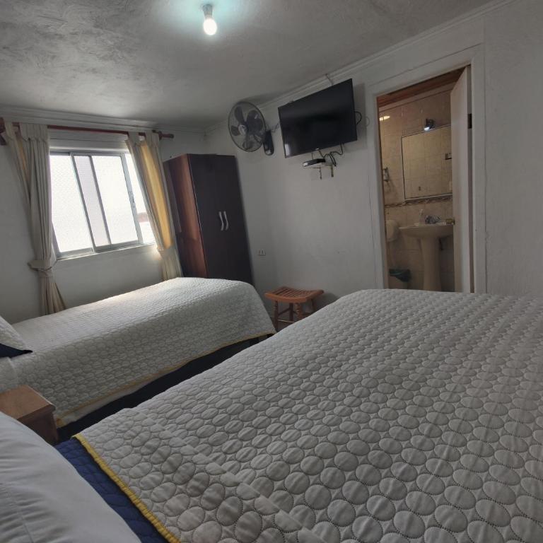 Hostal Casa Familia - Twin Room with Private Bathroom - 1