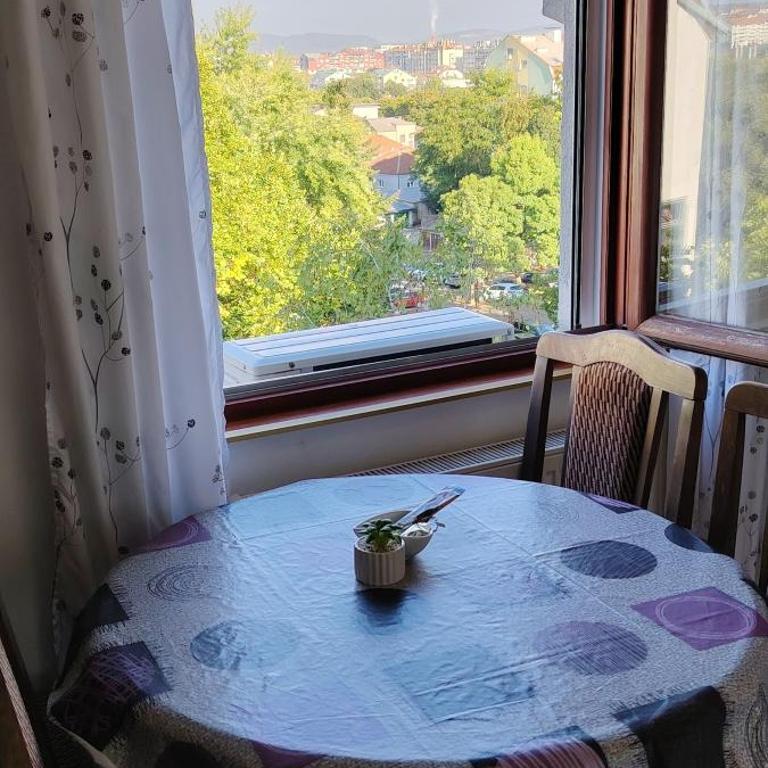 Ćele-kula Apartment - One-Bedroom Apartment - 13
