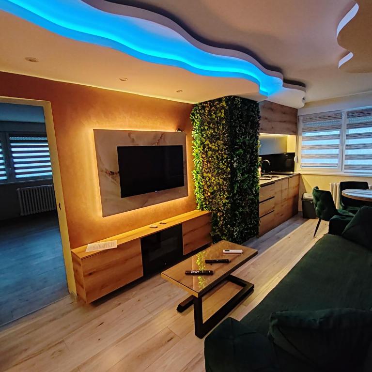 Princ lux spa with sauna and jacuzzi - Apartman sa 2 Spavaće Sobe - 15