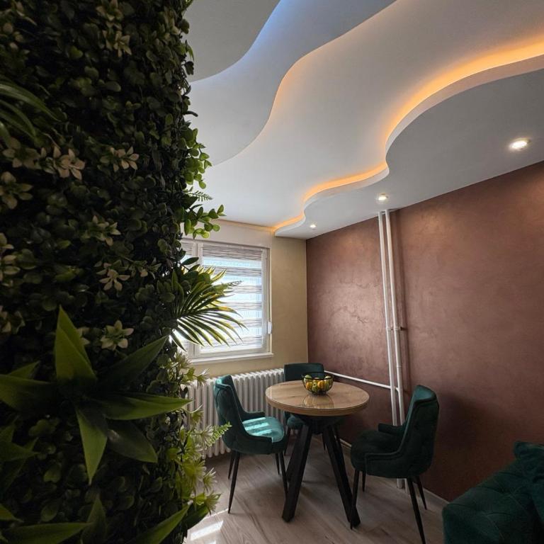 Princ lux spa with sauna and jacuzzi - Apartman sa 2 Spavaće Sobe - 8