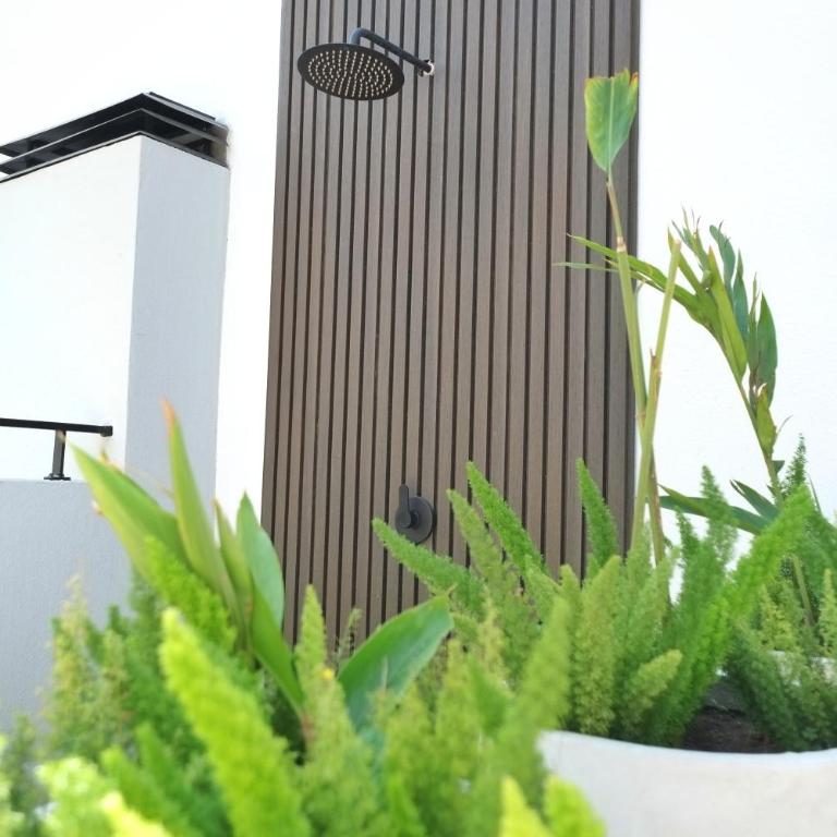 Monoambiente para Dos Escapada Perfecta - Apartamento de 1 dormitorio - 21