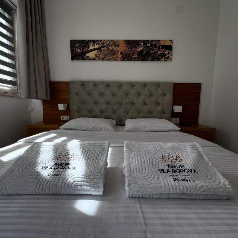 Amor Vila Borova - One-Bedroom Apartment - 10