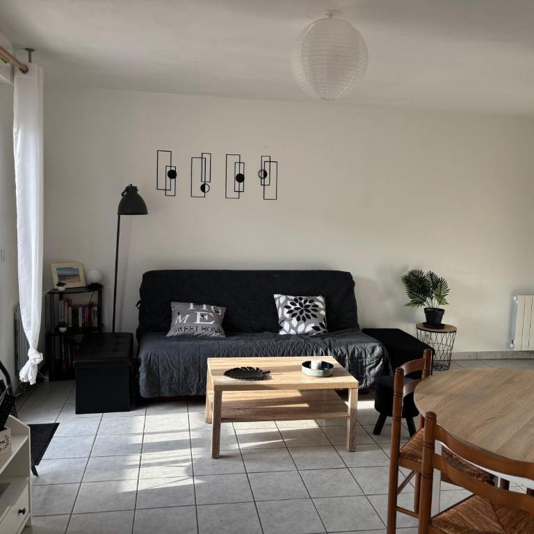 Le petit nid douillet du Bassin T2 - Appartement 1 Chambre - 2
