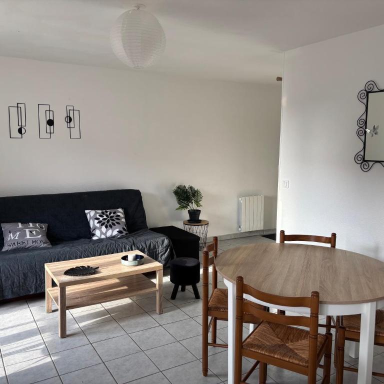 Le petit nid douillet du Bassin T2 - Appartement 1 Chambre - 5