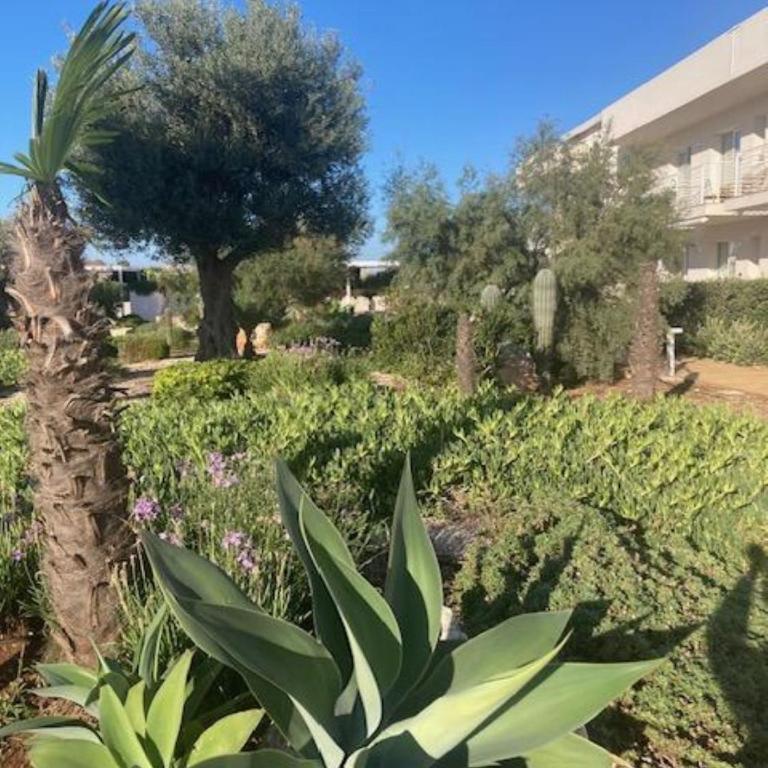 Borgo 84 - La Perla84 Marzamemi - Appartamento con 1 Camera da Letto - 42