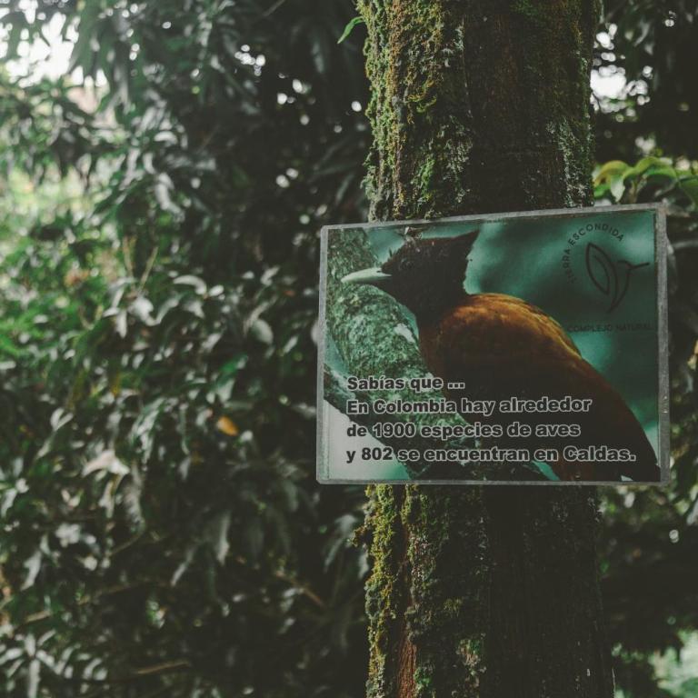 APARTAMENTO CAMPESTRE EN EJE CAFETERO - Apartamento de 2 dormitorios - 24