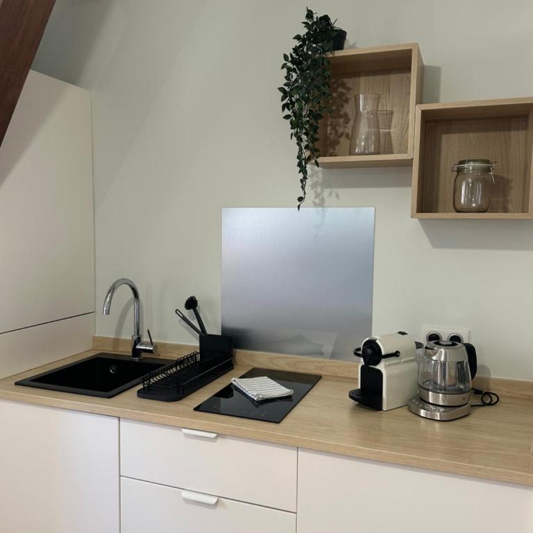 Les Hallebardes - One-Bedroom Apartment - 9