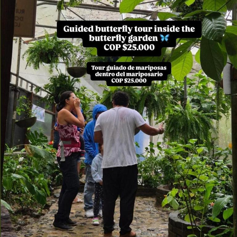 Hostal Las Mariposas Minca - Tienda - 2