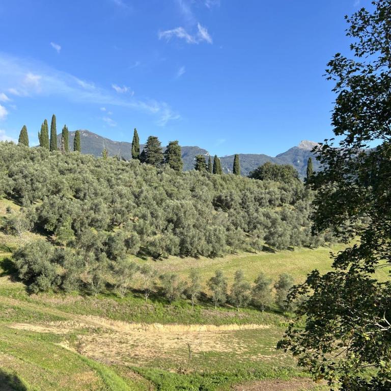 Il Cerro - Ferienhaus - 38