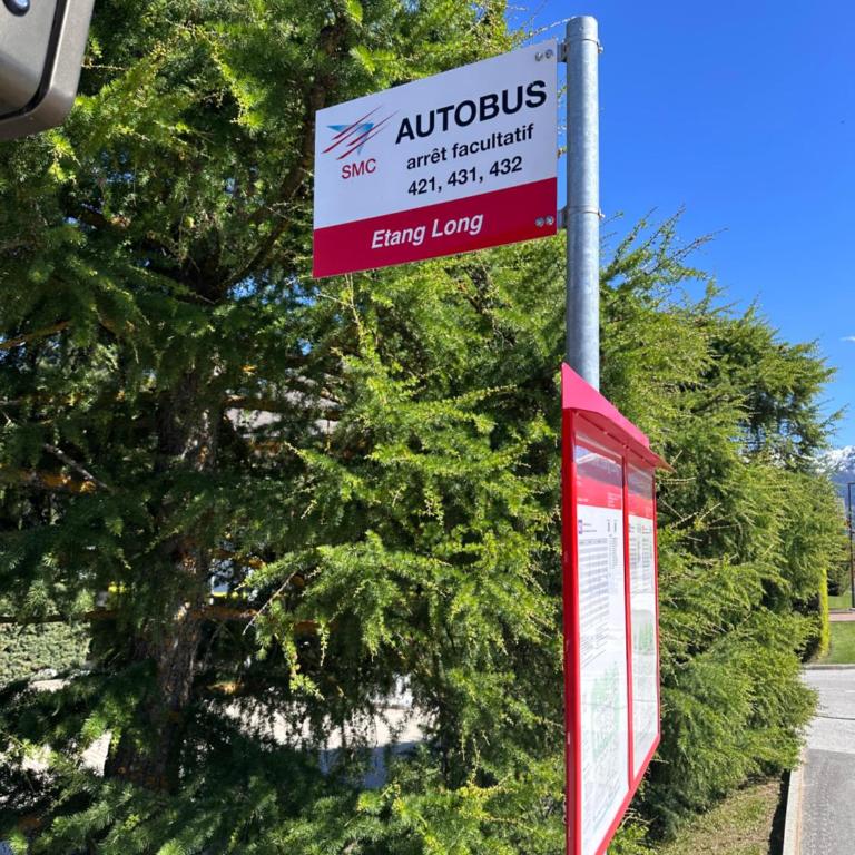 CapoBnB Bergblick nahe See, Wandern, Wallis - Appartement 2 Chambres - 45