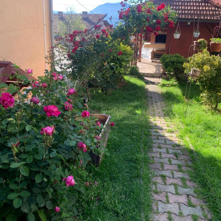 Apartman Humska - Apartman sa 2 Spavaće Sobe - 9
