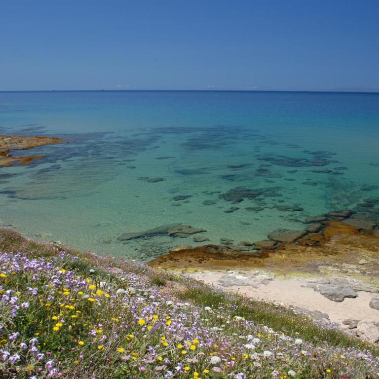 Sogno di Rena - Appartamento con Vista Mare - 54
