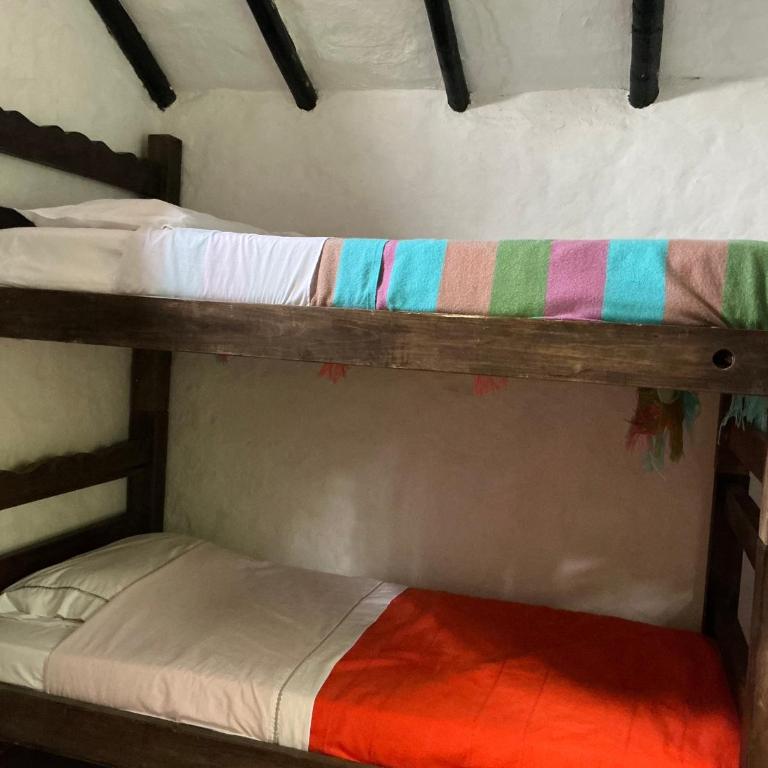 Luna Munay Hostel - Cama en habitación compartida mixta de 4 camas - 4