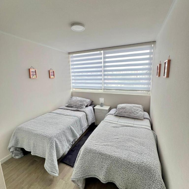 Departamento nuevo moderno y elegante - Apartamento - 6