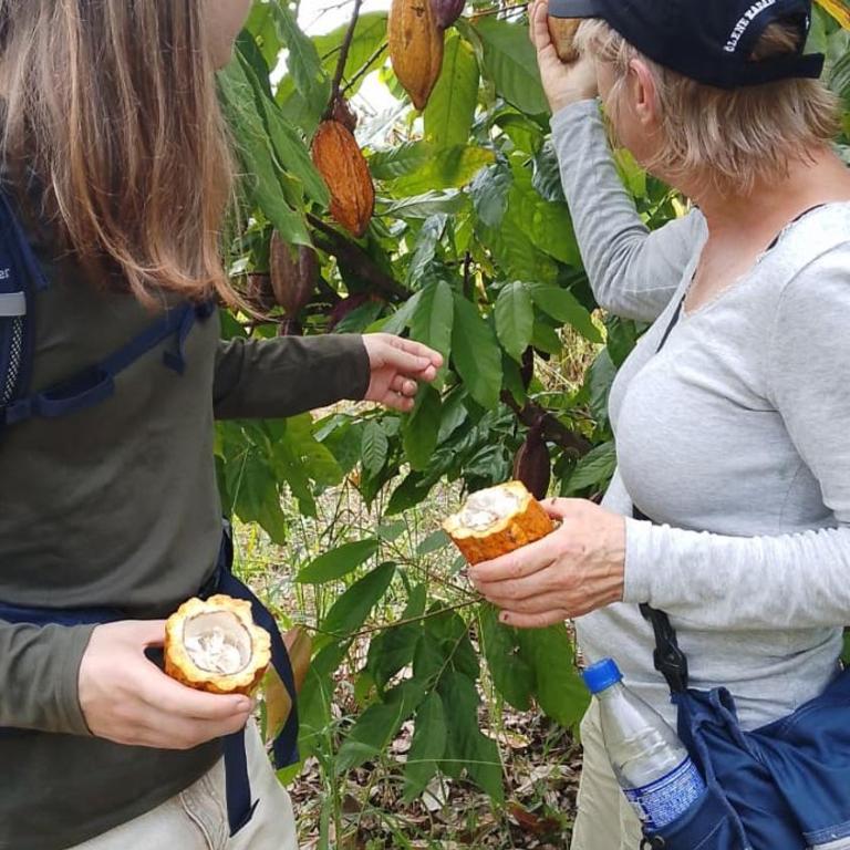 Refugio Chabelita Hostel - Habitación Doble con baño compartido - 11