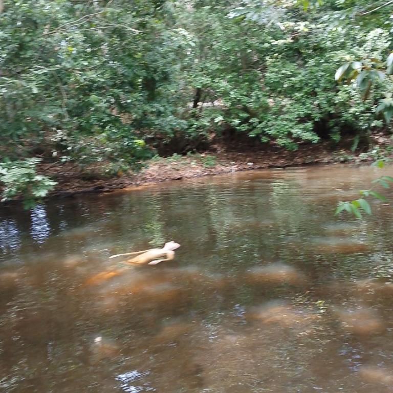 Refugio Chabelita Hostel - Habitación Doble con baño compartido - 5