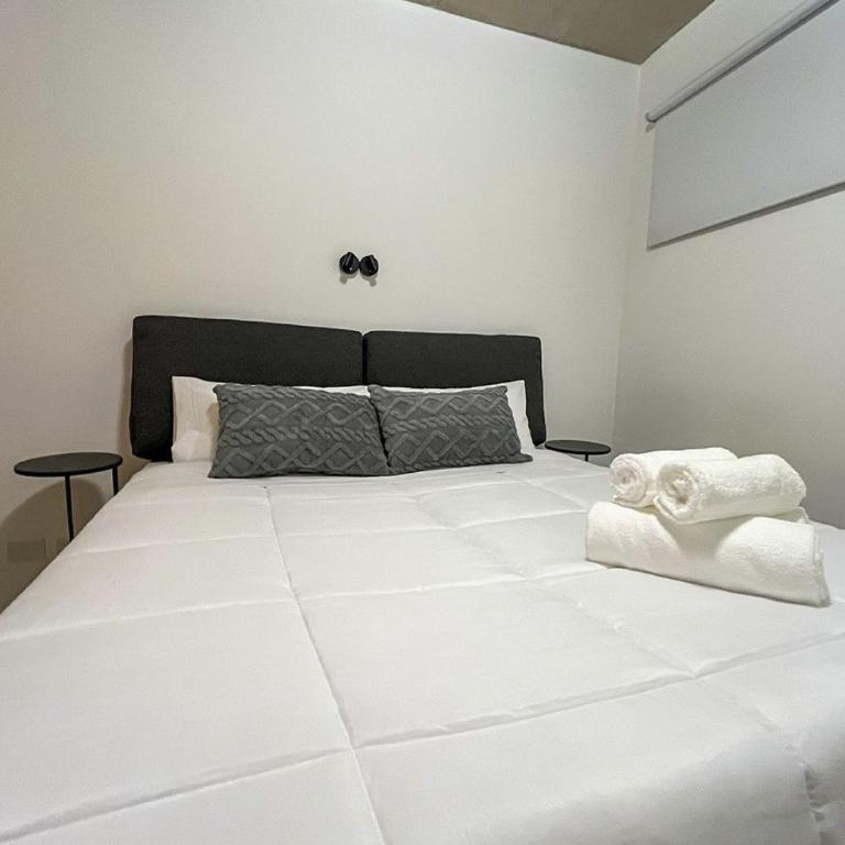 RentUp - Luminoso Dpto a Estrenar en Zona Estrategica de Recoleta - Estudio con balcón - 19