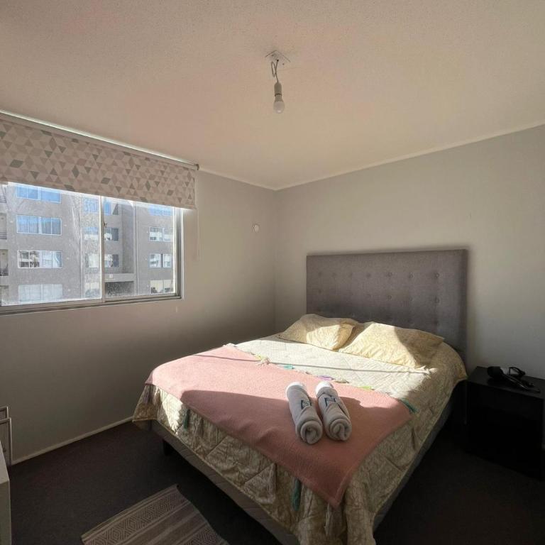 Departamento equipado 203 Ovalle - Three-Bedroom Apartment - 1