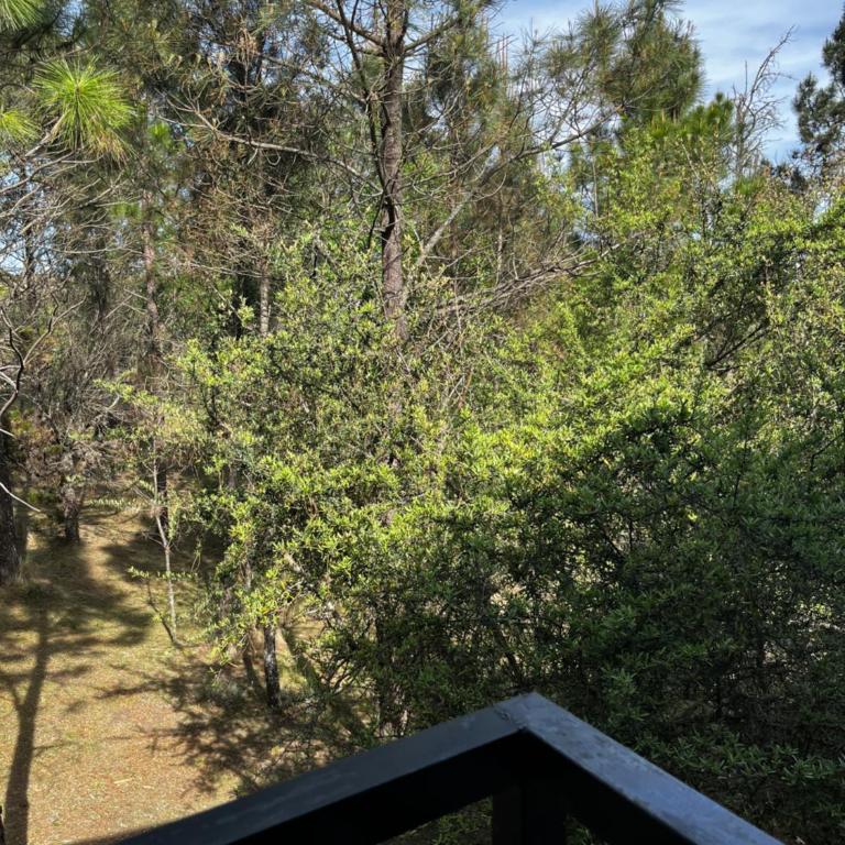 Terrazas del Pinar, Loft con pileta exclusiva en bosque serrano - Chalet de 1 dormitorio - 12