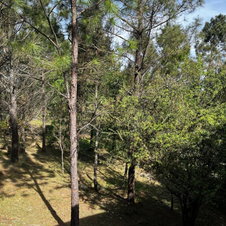 Terrazas del Pinar, Loft con pileta exclusiva en bosque serrano - Chalet de 1 dormitorio - 12