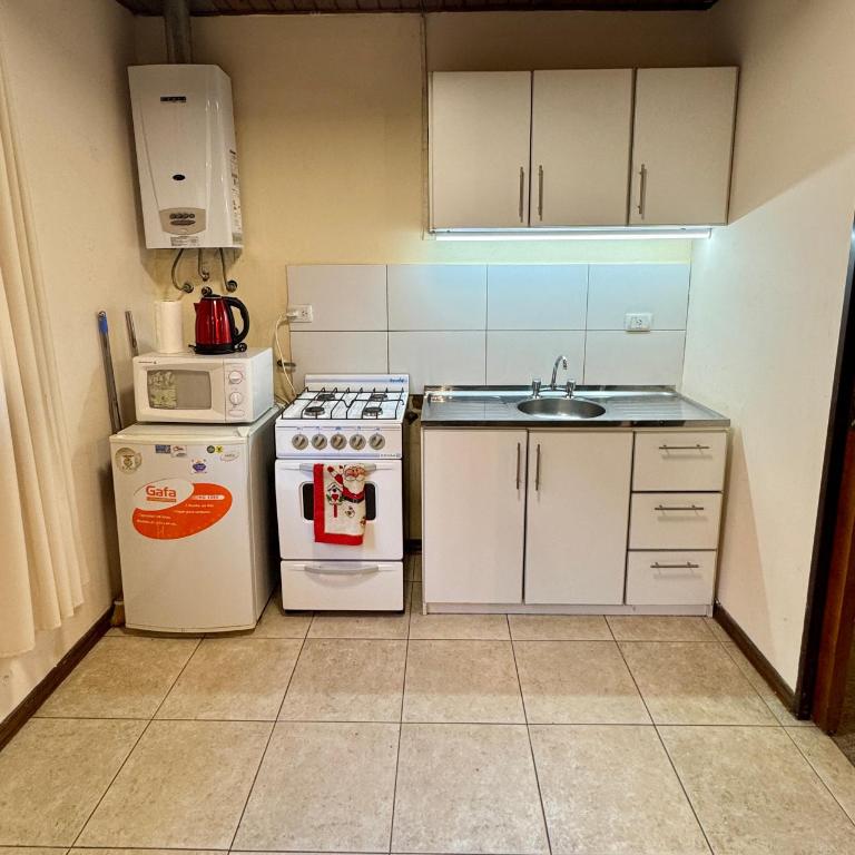 Duplex Ushuaia pleno centro - Apartamento de 1 dormitorio - 3