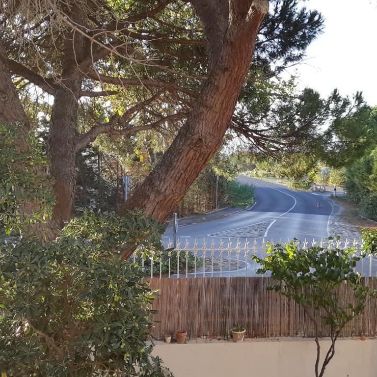 Le Mas Palegry Chambres d'hôtes Perpignan - Suite con cama grande - 2