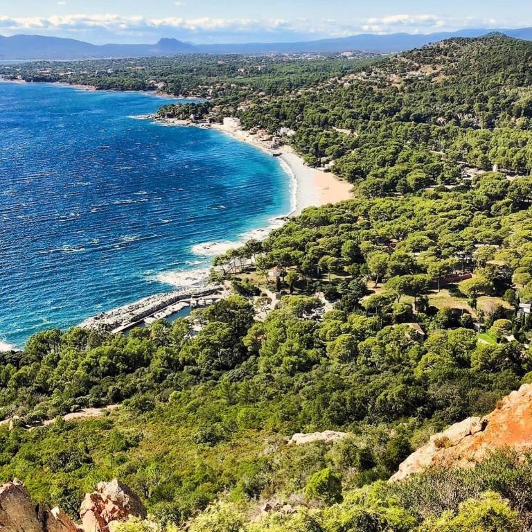 Village Cap Estérel pierre et vacances Appartement en Rez de Jardin vue Mer -Plages -Parcs Aquatique - Animations -5 piscines dont une chauffée au 01-Novembre -Parking -Climatisation -Formule Club - Appartement 1 Chambre avec Vue sur la Mer et Terrasse - 38