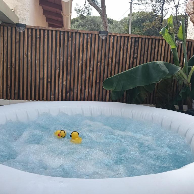 Adorable petite guest house climatisée - Chambre Double avec Baignoire Spa - 2