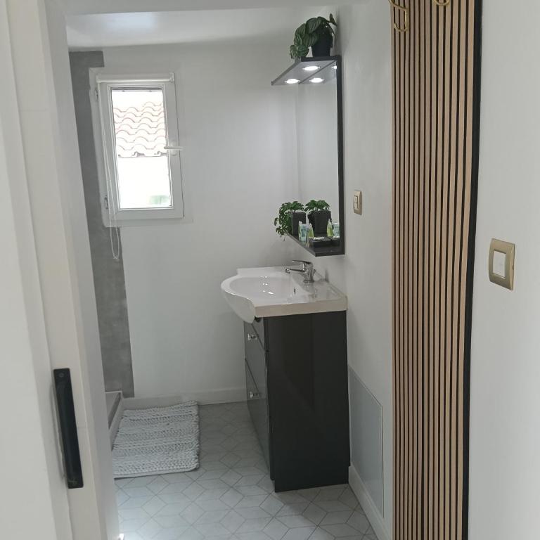 Adorable petite guest house climatisée - Chambre Double avec Baignoire Spa - 11