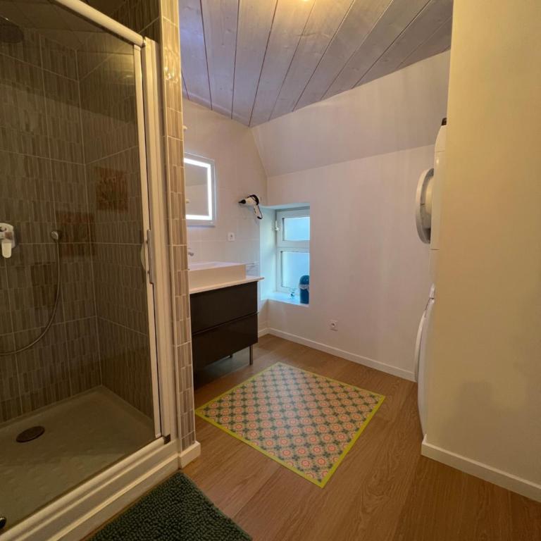 La Pistacherie à 30m de la plage de Grande Rive - Two-Bedroom Apartment - 20