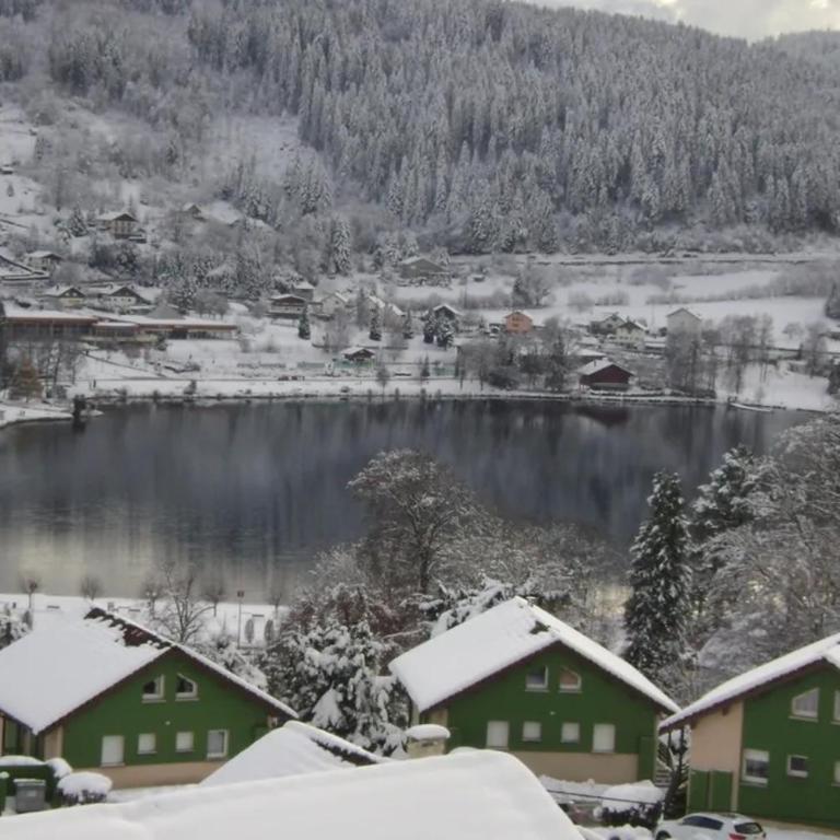 Chalet de Grany, magnifique vue sur le lac de Gérardmer - Chalet 2 Chambres - 9