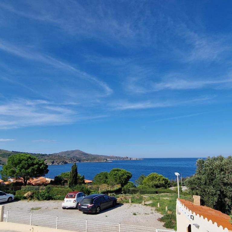 BANYULS-SUR-MER, T2 climatisé, terrasse, parking, proche crique - FR-1-309-235 - Apartment mit 1 Schlafzimmer - 11