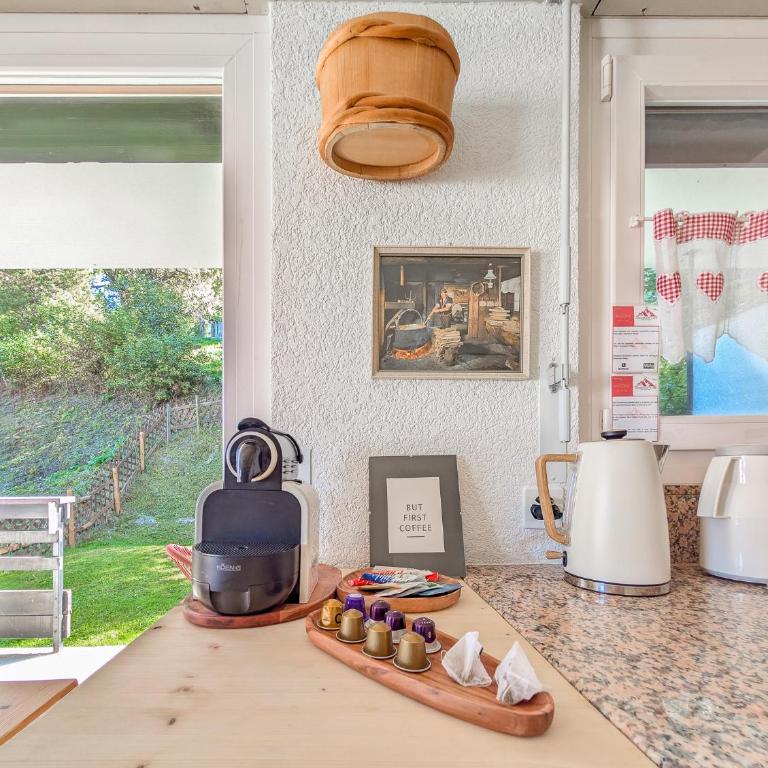 Cosy Centered with Garden and View in Veysonnaz - Appartamento - 32