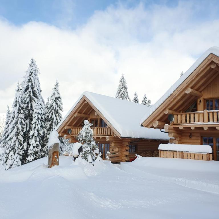 Almzauber Chalets - Haus Enzian inkl Infrarotliegen - Chalet 3 - 6
