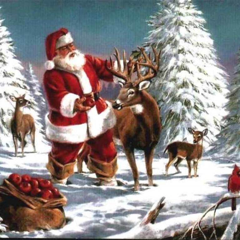 Chalet Pere Noel - Chalet - 20