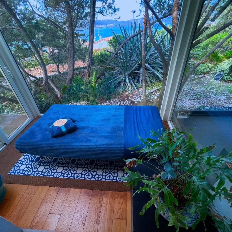 GuestHost - Charming Pool Villa Porto Rotondo - Appartamento con 3 Camere da Letto - 50