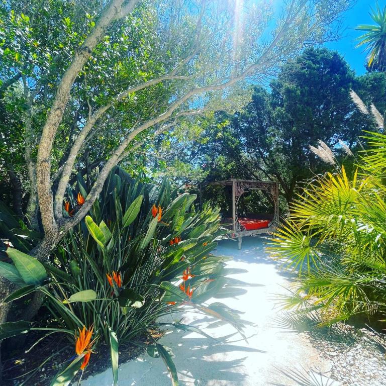 GuestHost - Charming Pool Villa Porto Rotondo - Appartamento con 3 Camere da Letto - 74