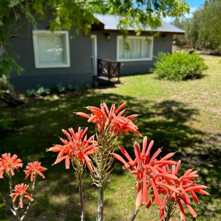 Aguamarina Casas con servicio de balneario incluido - Casa de 2 dormitorios - 9