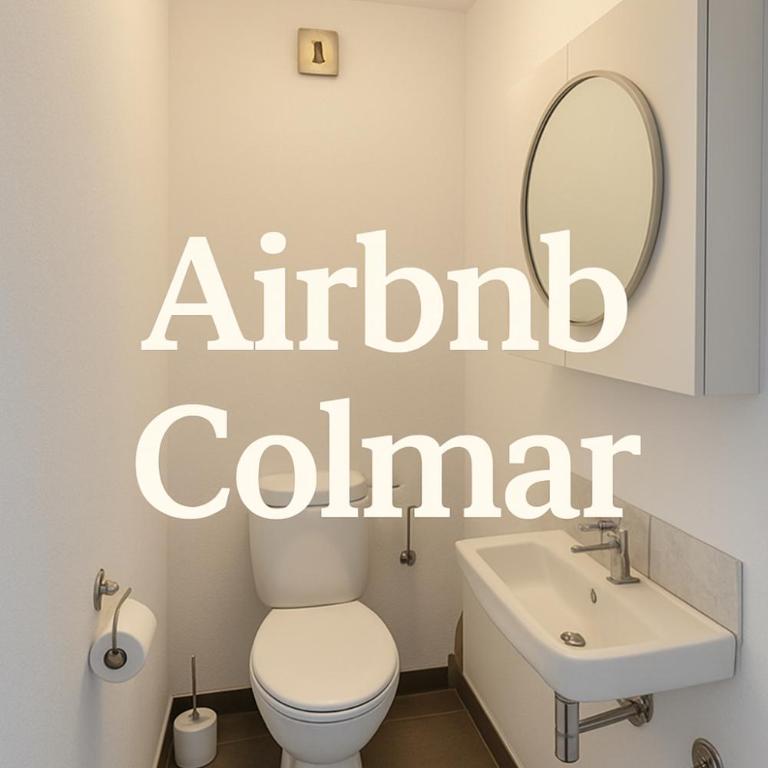 Coup de cœur à Colmar Appartement en plein centre - Apartment mit 1 Schlafzimmer - 6