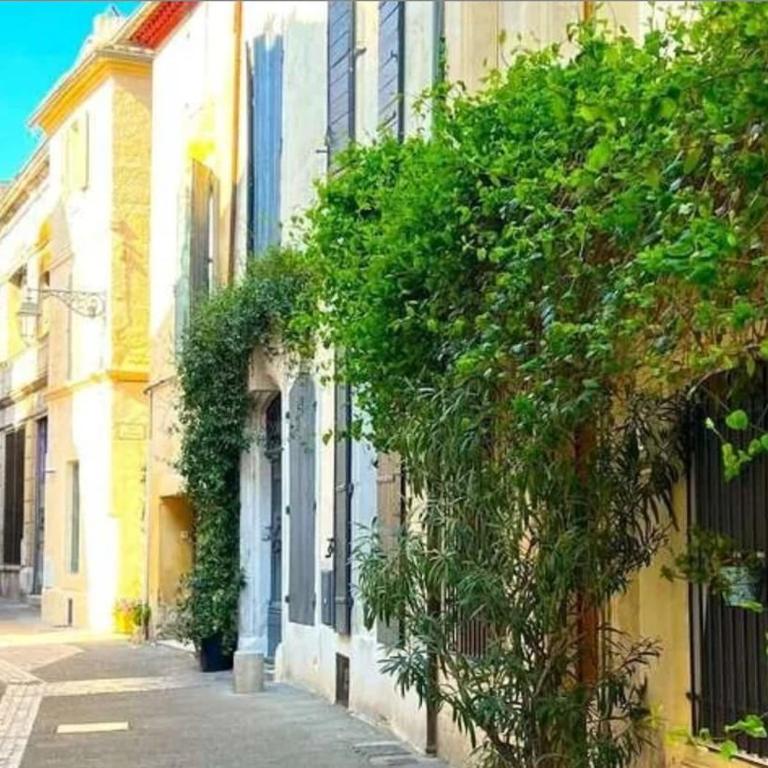 l'etoile de la Roquette Arles centre - Casa con 3 Camere da Letto - 2