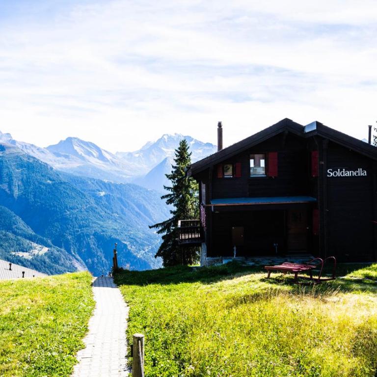 Soldanella Chalet, Riederalp Golmenegg - Apartment - 2
