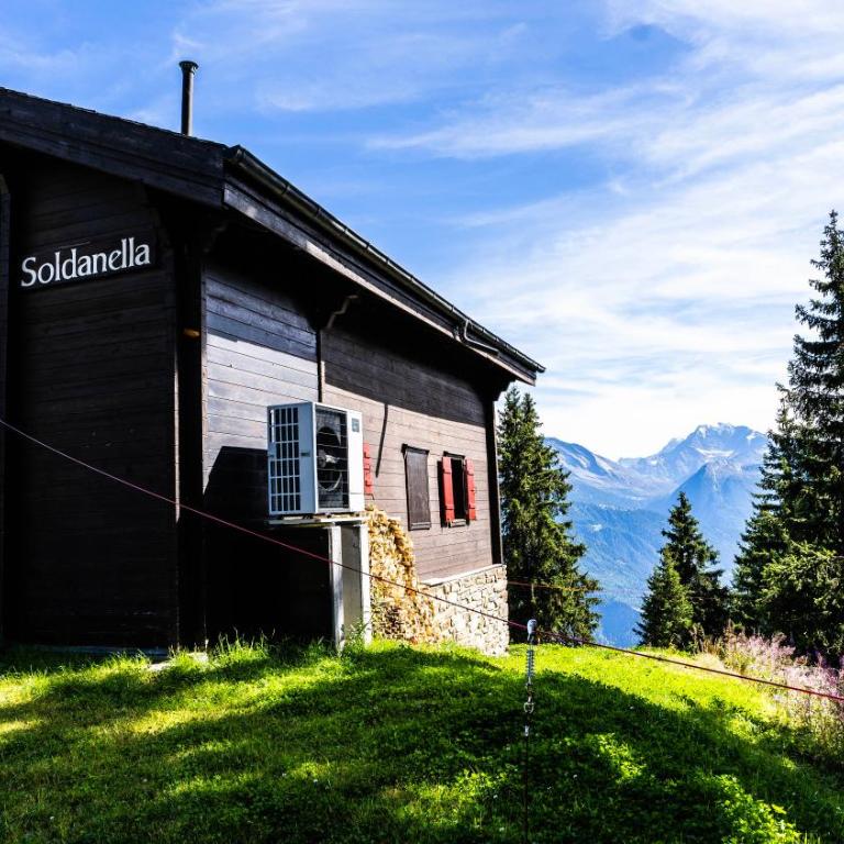 Soldanella Chalet, Riederalp Golmenegg - Apartment - 12