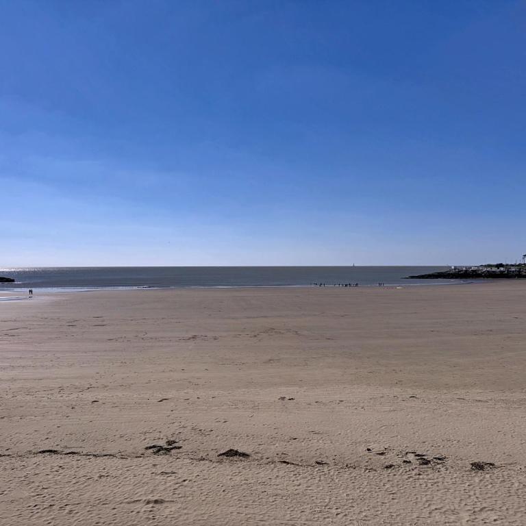 Teeny Ponta Plage - Monolocale - 8