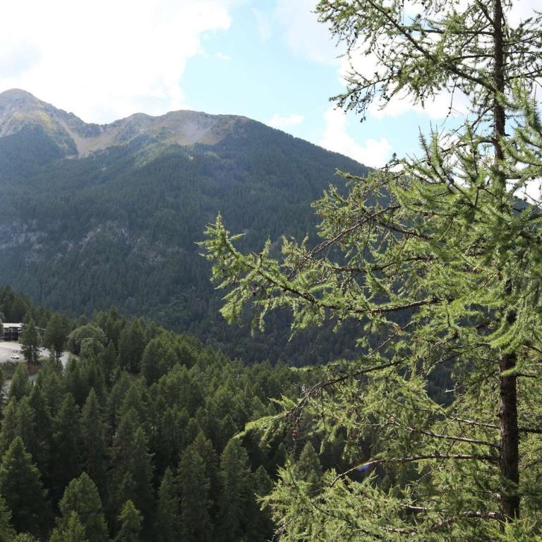 Appartement Confort 6 pers, 2 pièces, Balcon, Cheminée, Accès direct aux pistes - FR-1-322-451 - Apartment (6 Erwachsene) - 4