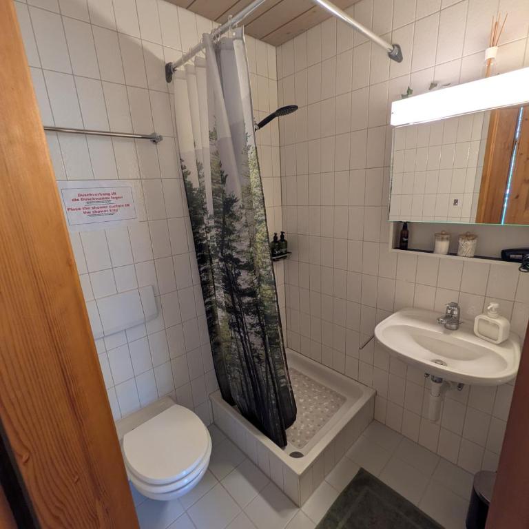 Chalet Sonnenhof Wengen - Apartment mit 1 Schlafzimmer - 5