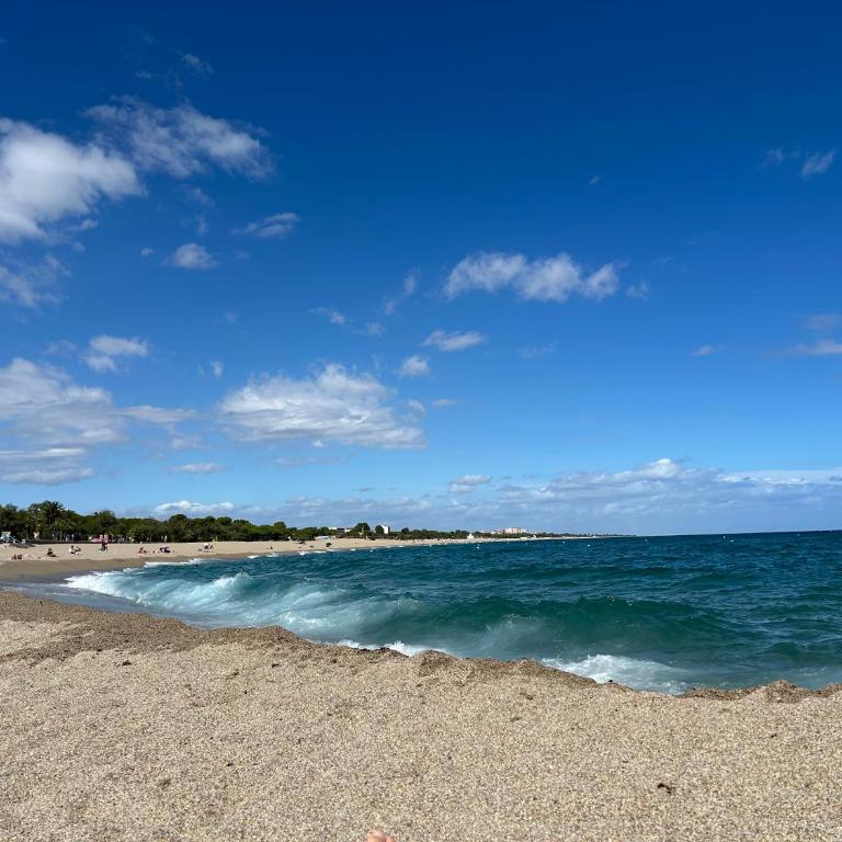 Cœur du port d'Argeles avec vue mer imprenable - Apartamento de 2 dormitorios - 25