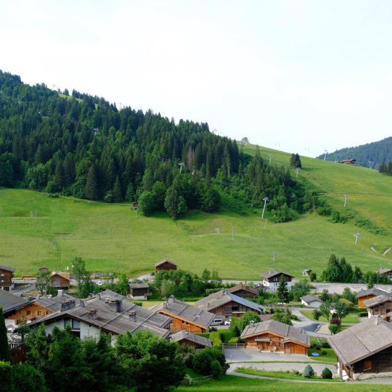 Nant Soleil A9 - Comfort Apartment - 10