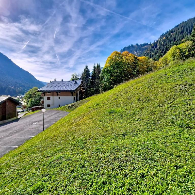 Amarillys AM9 TELECABINE & MOUNTAIN 4 pers - Appartement avec Balcon - 9