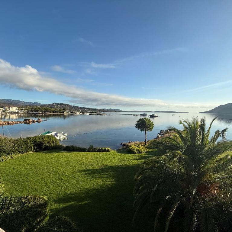 Les oliviers 11 Appartement, bord de mer, porto-vecchio - One-Bedroom Apartment - 33